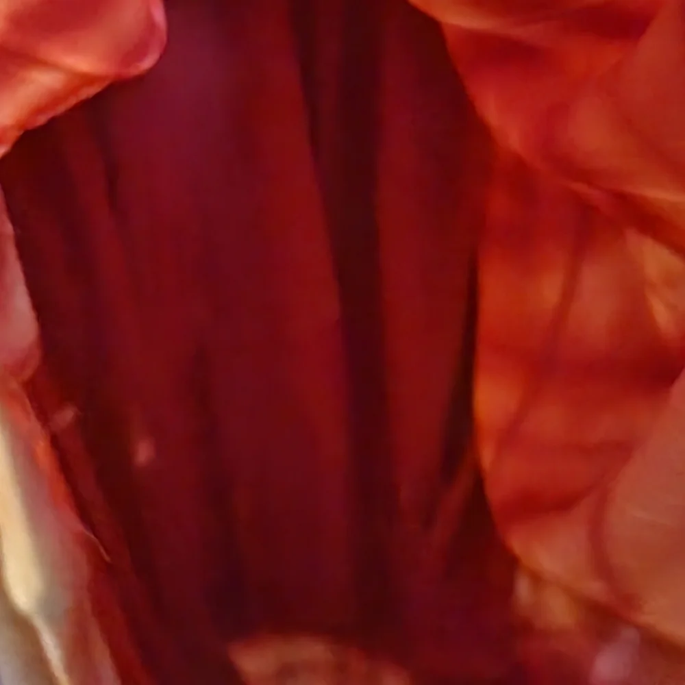 COPY - 🍂  2xW Petite Catherines Maxi Dress  🍂  NWOT - Picture 9 of 11